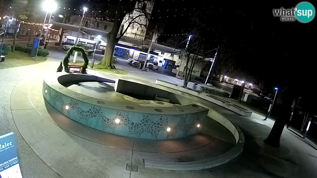 Spletna kamera Fontana Piv – Zeleno zlato Žalec