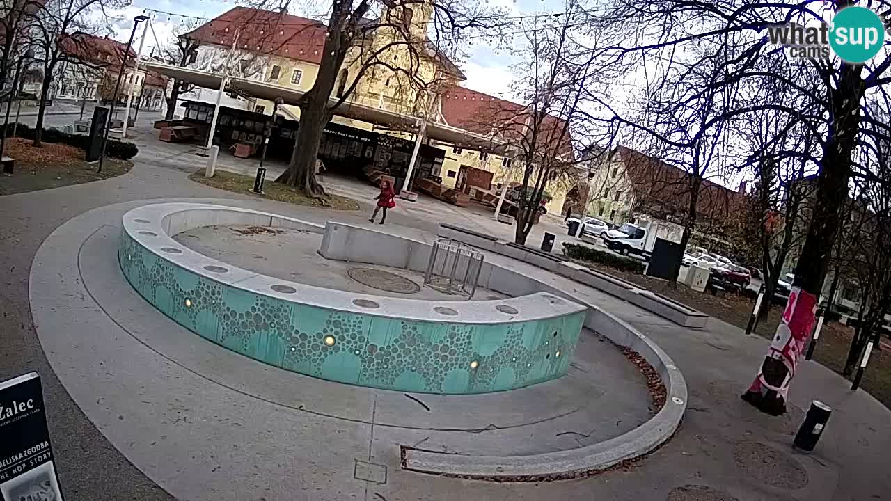 Web kamera Fontana piva – Zeleno zlato – Žalec