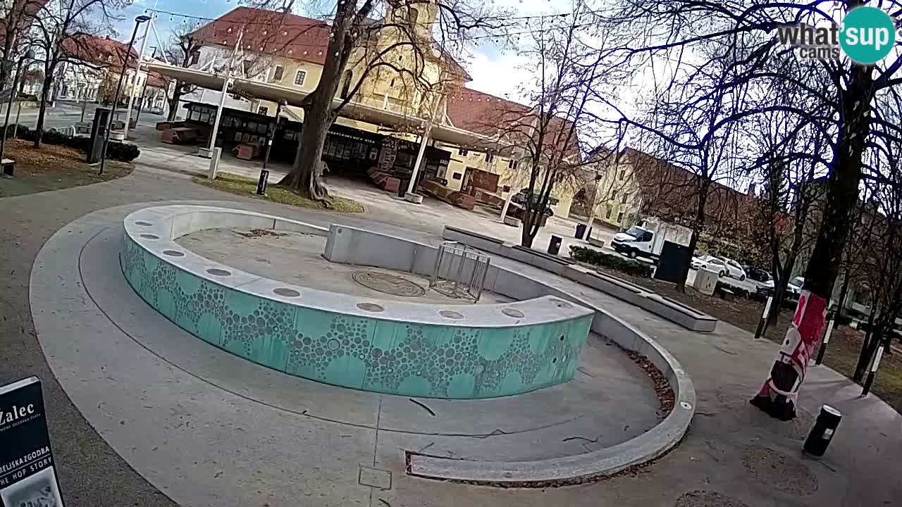 Bier-Springbrunnen Webcam Žalec – Grünen Goldes
