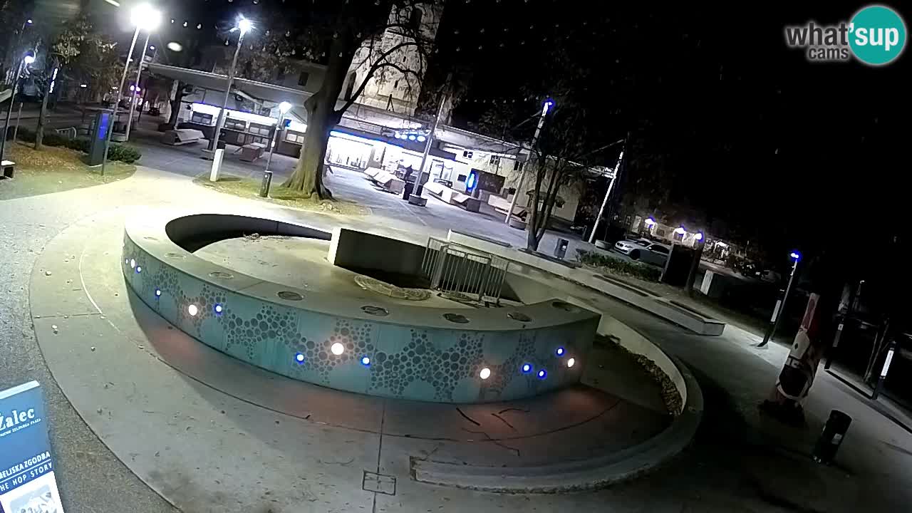 Web kamera Fontana piva – Zeleno zlato – Žalec