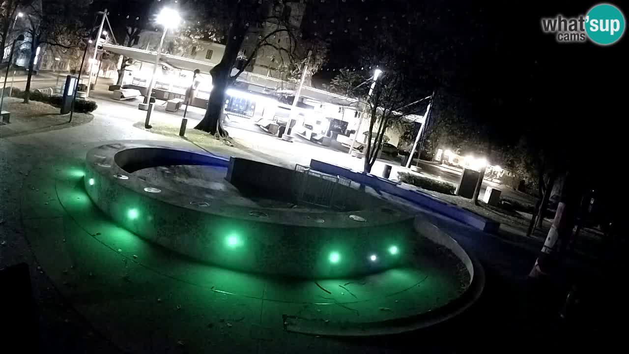 Web kamera Fontana piva – Zeleno zlato – Žalec