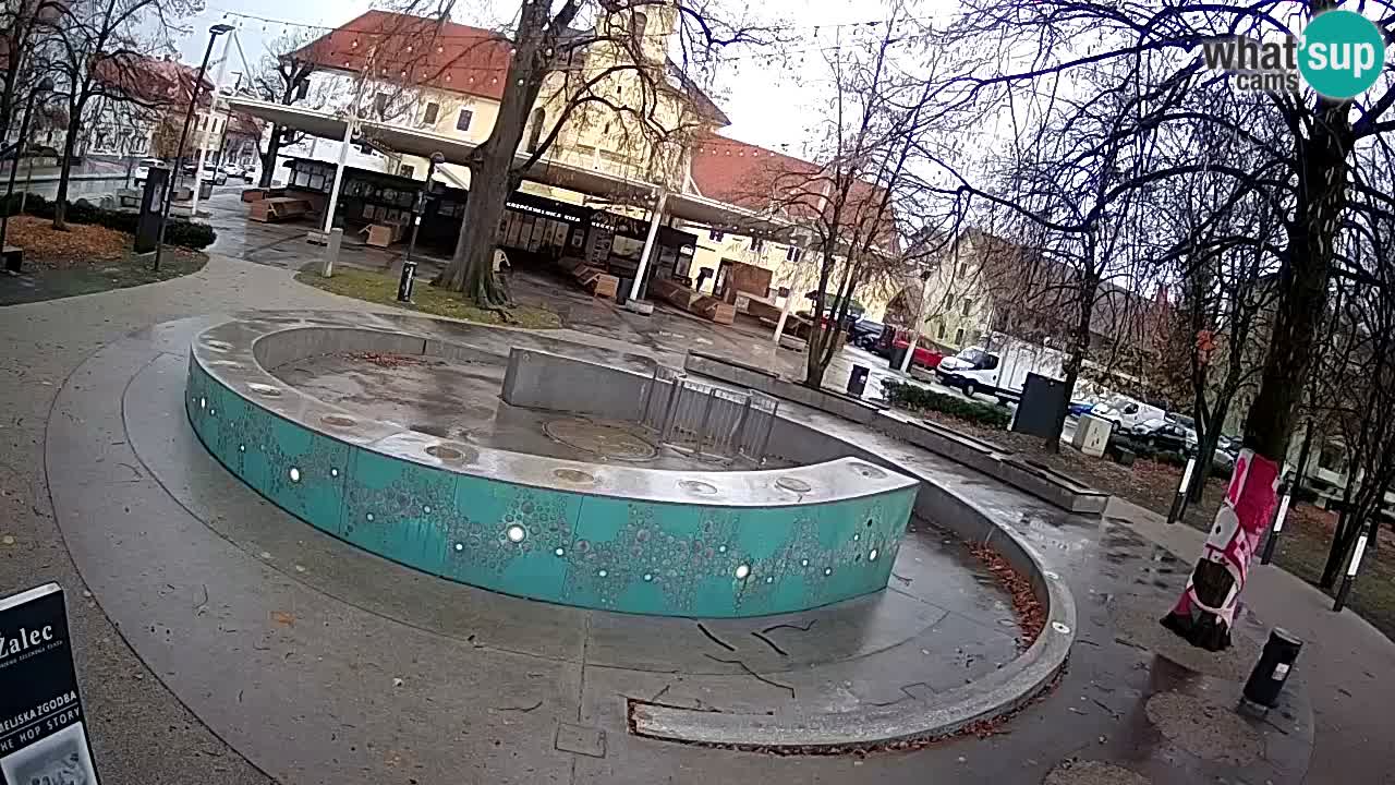 Web kamera Fontana piva – Zeleno zlato – Žalec