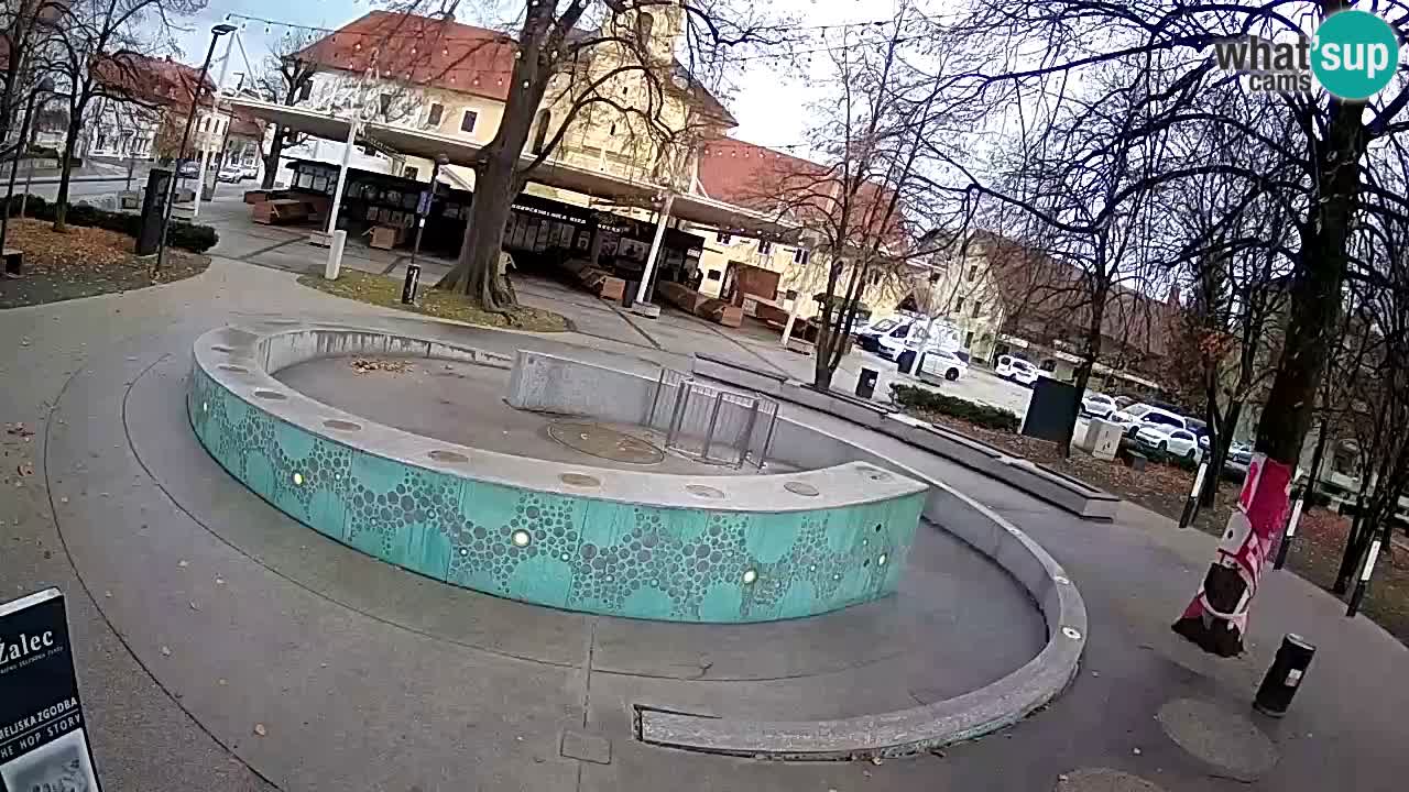 Bier-Springbrunnen Webcam Žalec – Grünen Goldes