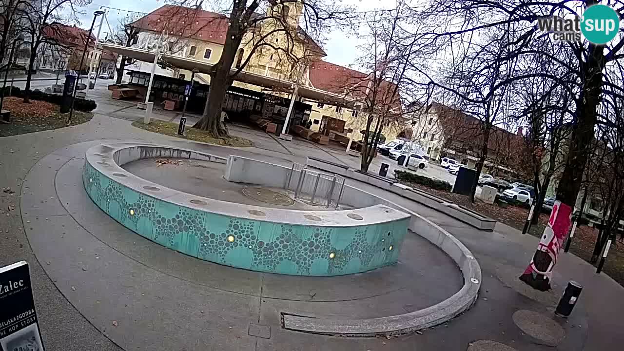 Bier-Springbrunnen Webcam Žalec – Grünen Goldes