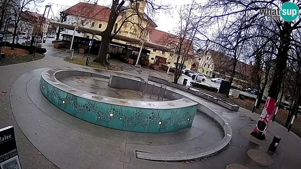 Camera en vivo Fuente de cerveza – Oro verde – Žalec