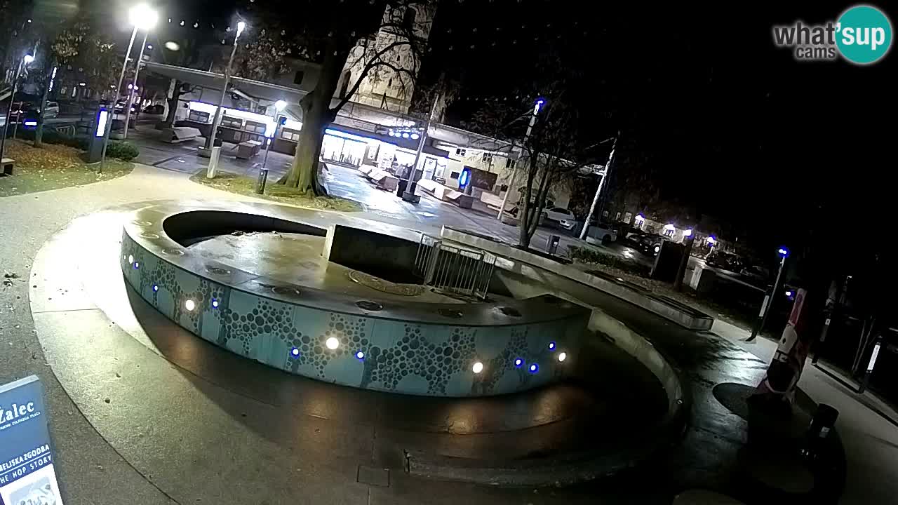 Bier-Springbrunnen Webcam Žalec – Grünen Goldes