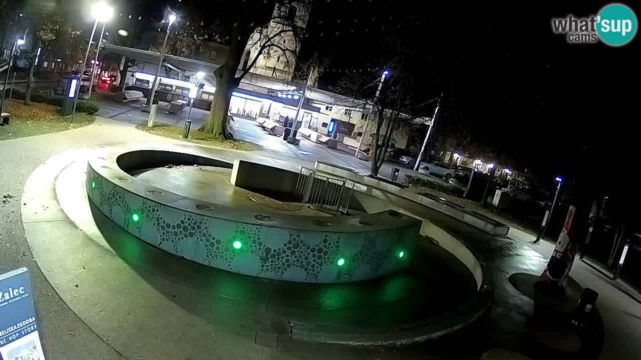 Web kamera Fontana piva – Zeleno zlato – Žalec