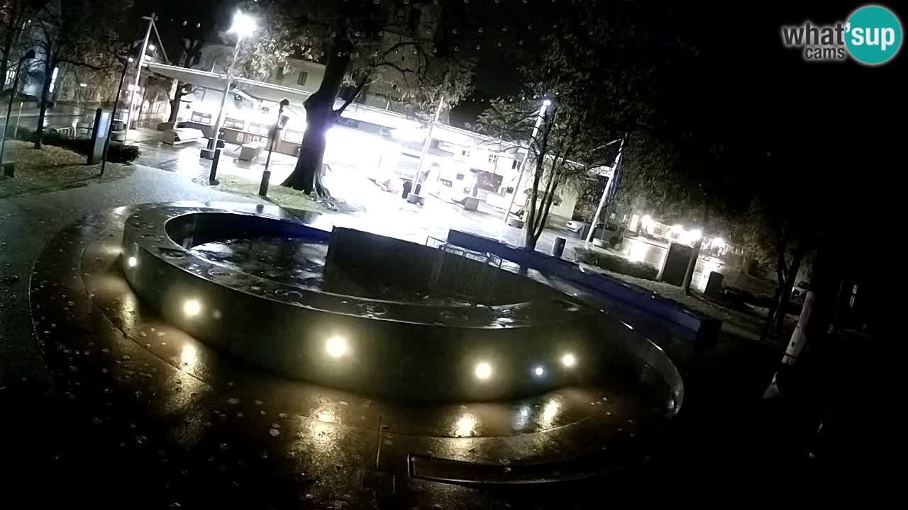 Camera en vivo Fuente de cerveza – Oro verde – Žalec