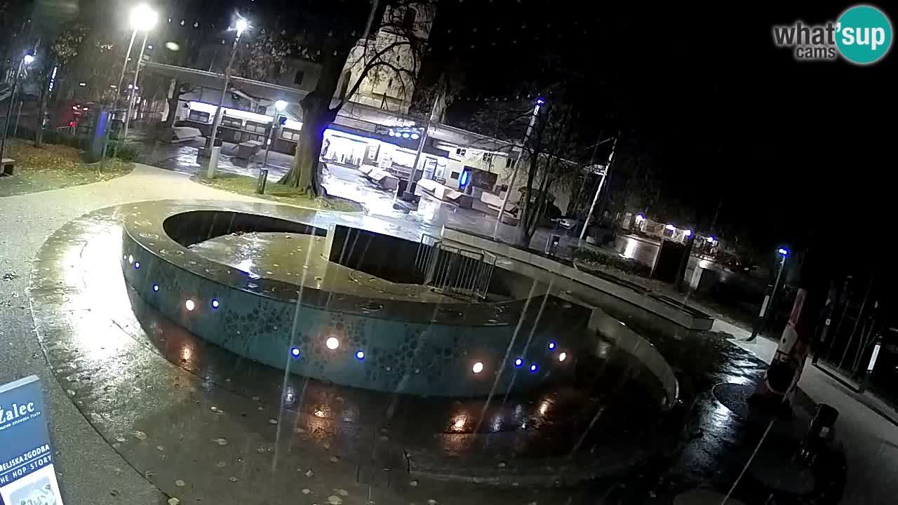 Web kamera Fontana piva – Zeleno zlato – Žalec