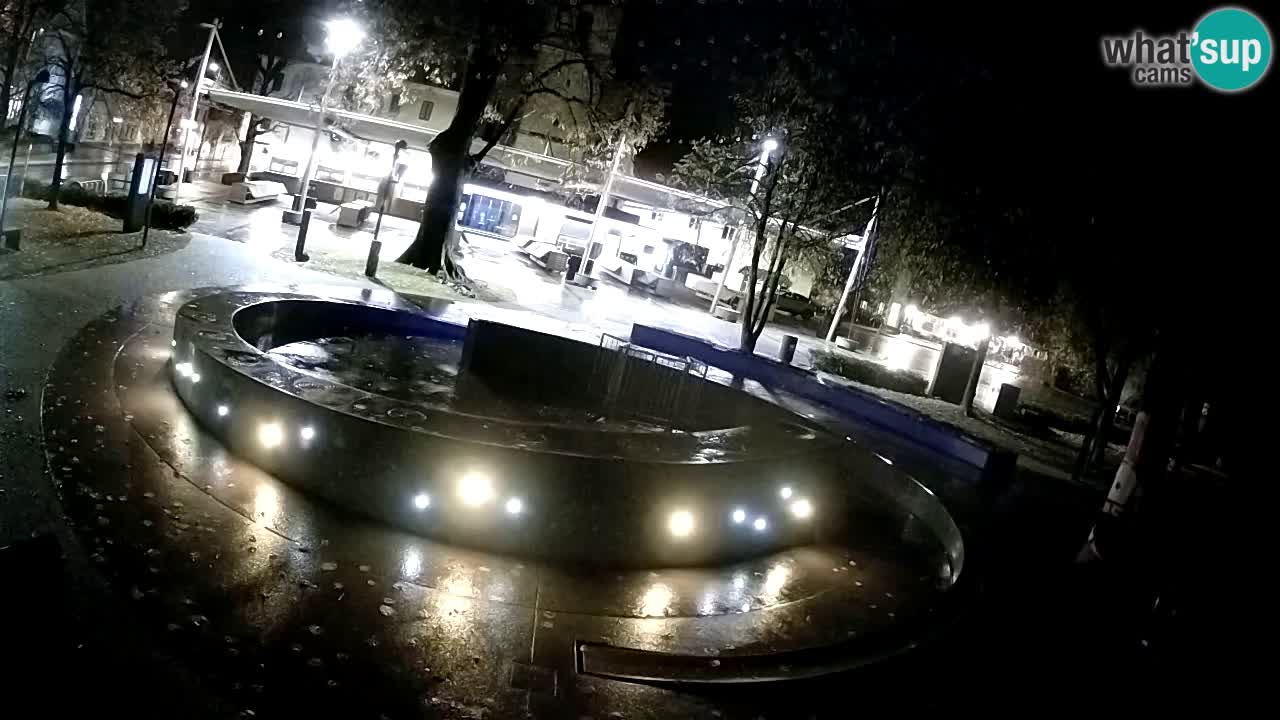 Web kamera Fontana piva – Zeleno zlato – Žalec