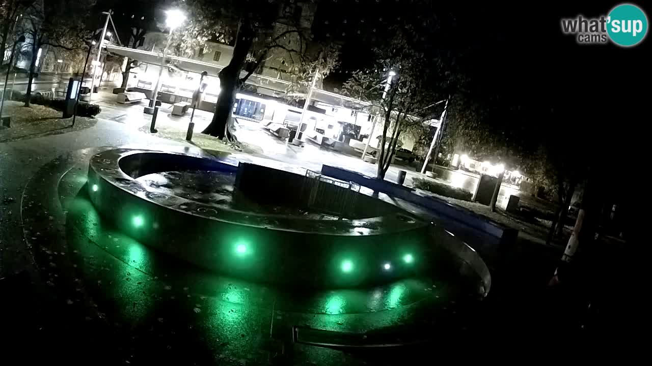 Spletna kamera Fontana Piv – Zeleno zlato Žalec