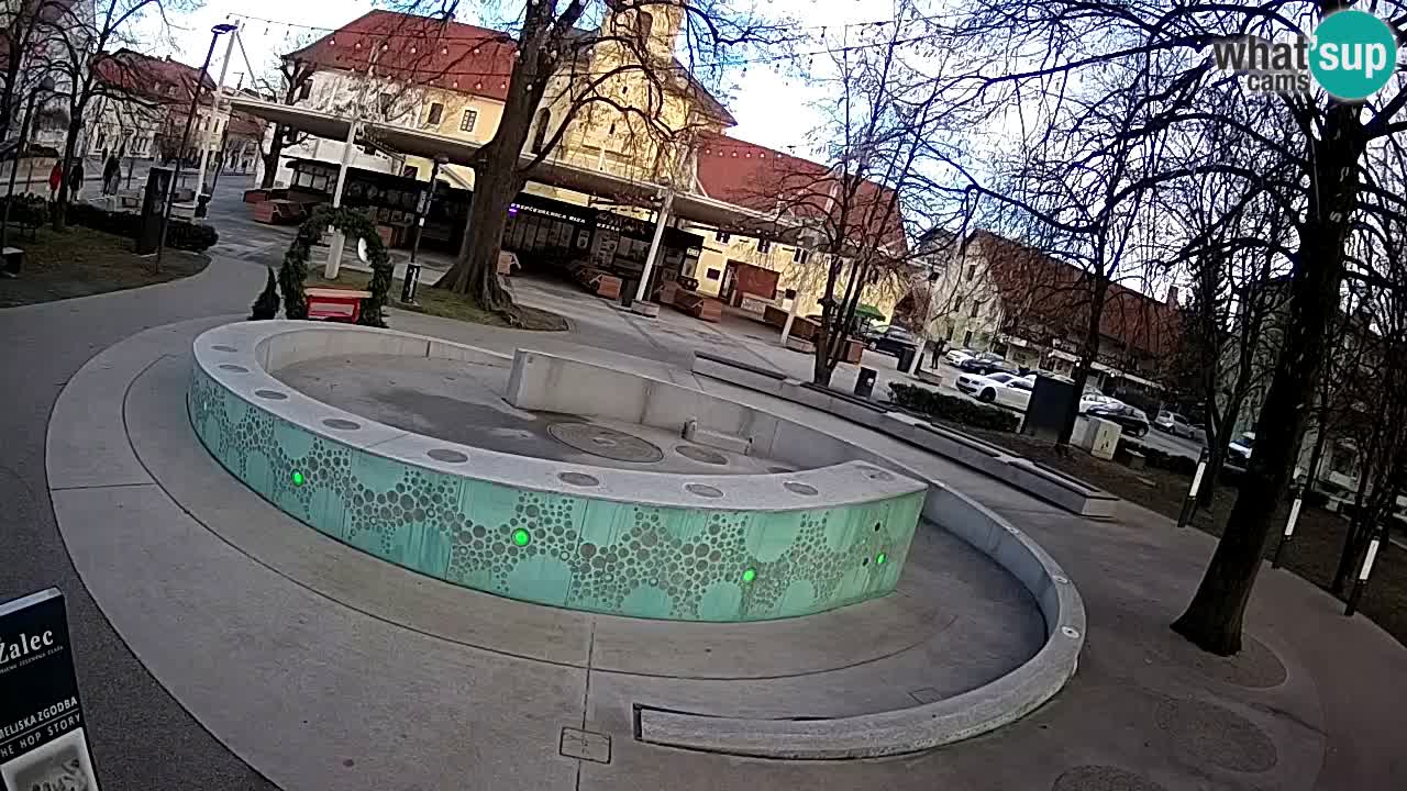 Fontaine à bière LIVE webcam – Or vert – Žalec