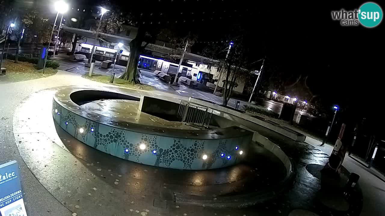 Fontana di birra Webcam – Oro verde – Žalec