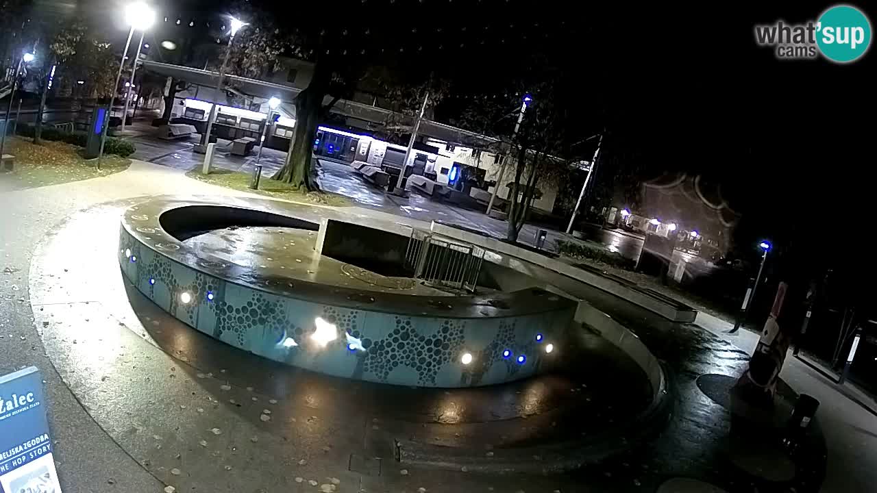 Fontana di birra Webcam – Oro verde – Žalec