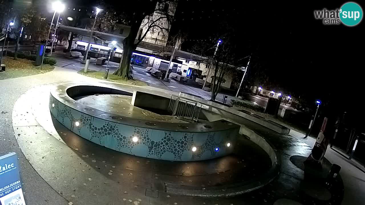 Fontana di birra Webcam – Oro verde – Žalec