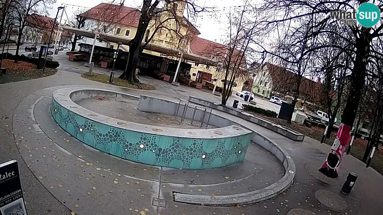 Web kamera Fontana piva – Zeleno zlato – Žalec