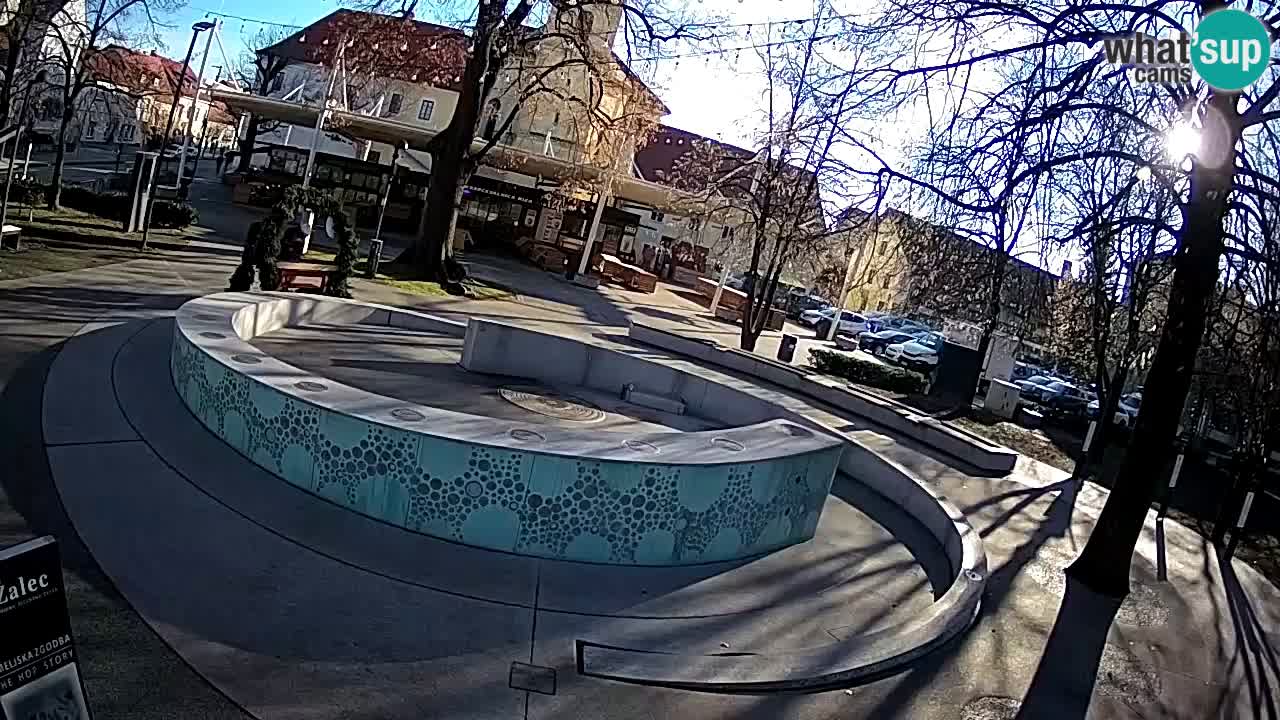 Fontana di birra Webcam – Oro verde – Žalec