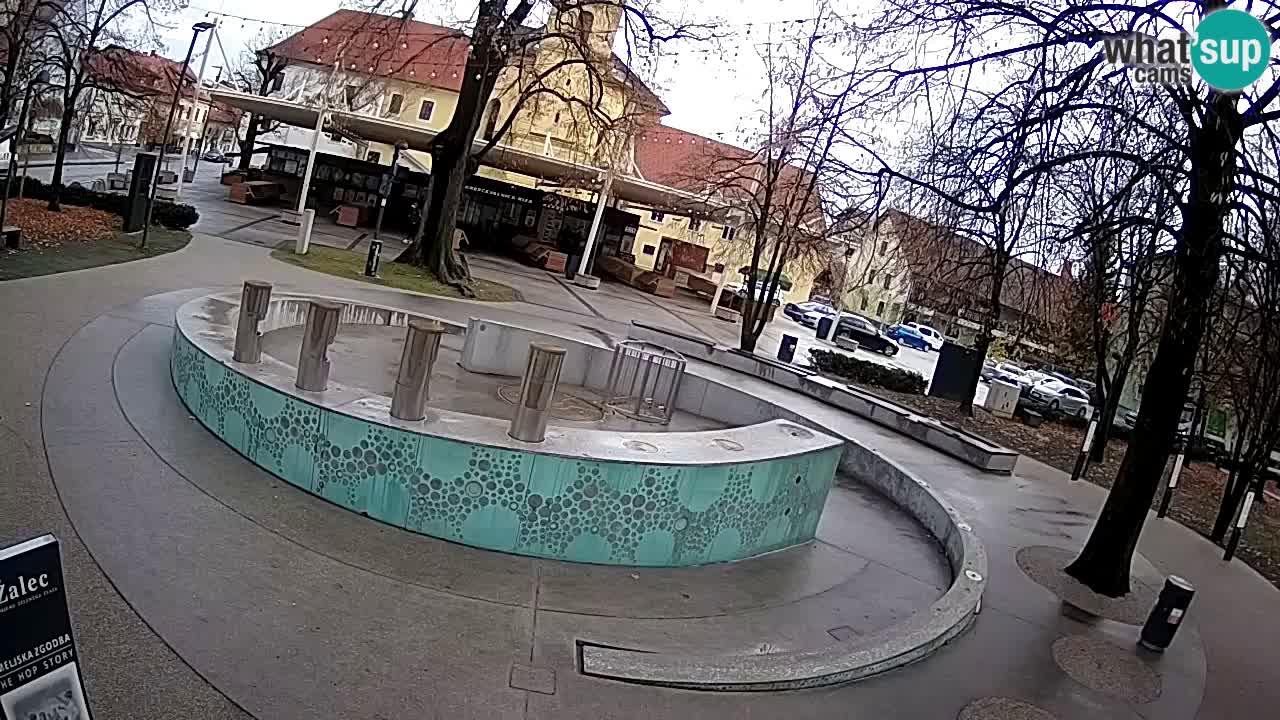 Bier-Springbrunnen Webcam Žalec – Grünen Goldes