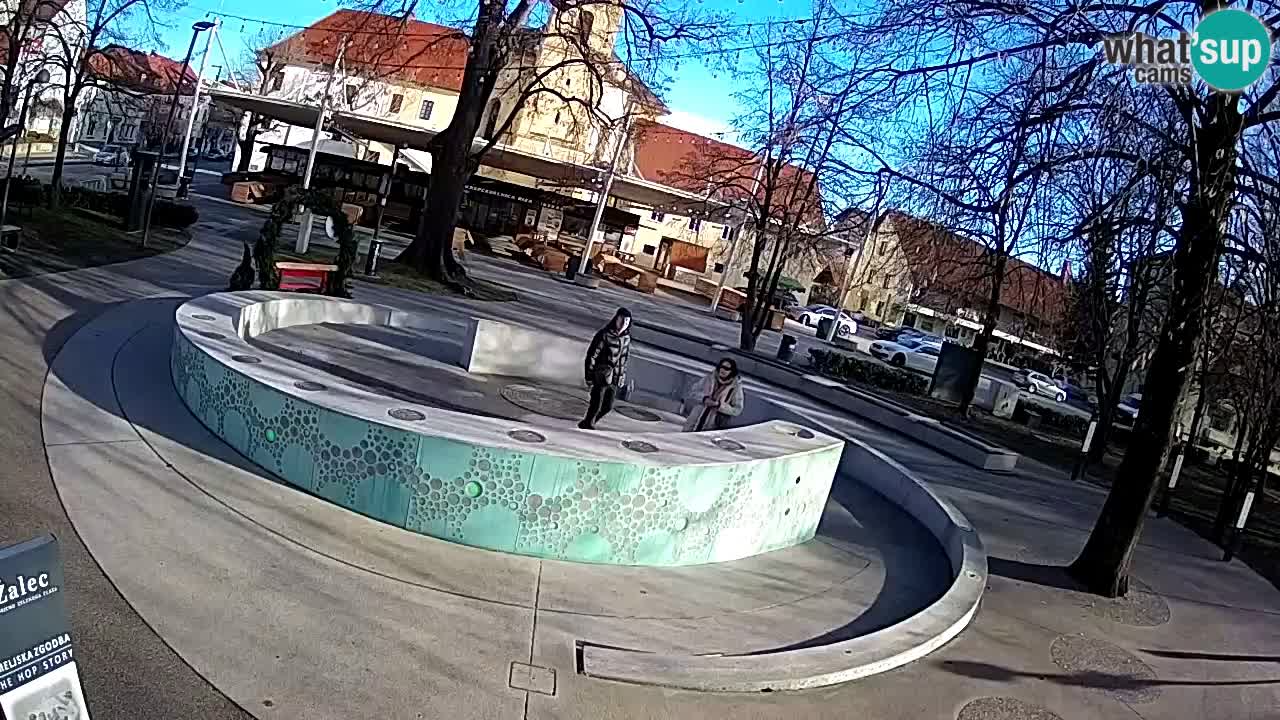 Camera en vivo Fuente de cerveza – Oro verde – Žalec