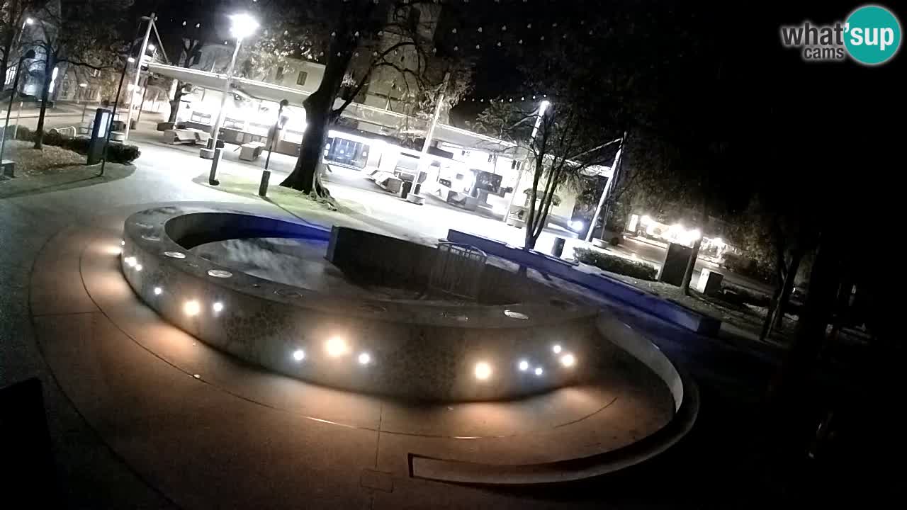 Fontaine à bière LIVE webcam – Or vert – Žalec