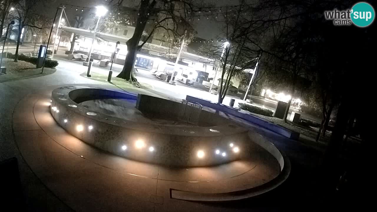 Web kamera Fontana piva – Zeleno zlato – Žalec