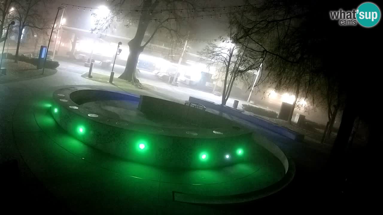 Bier-Springbrunnen Webcam Žalec – Grünen Goldes