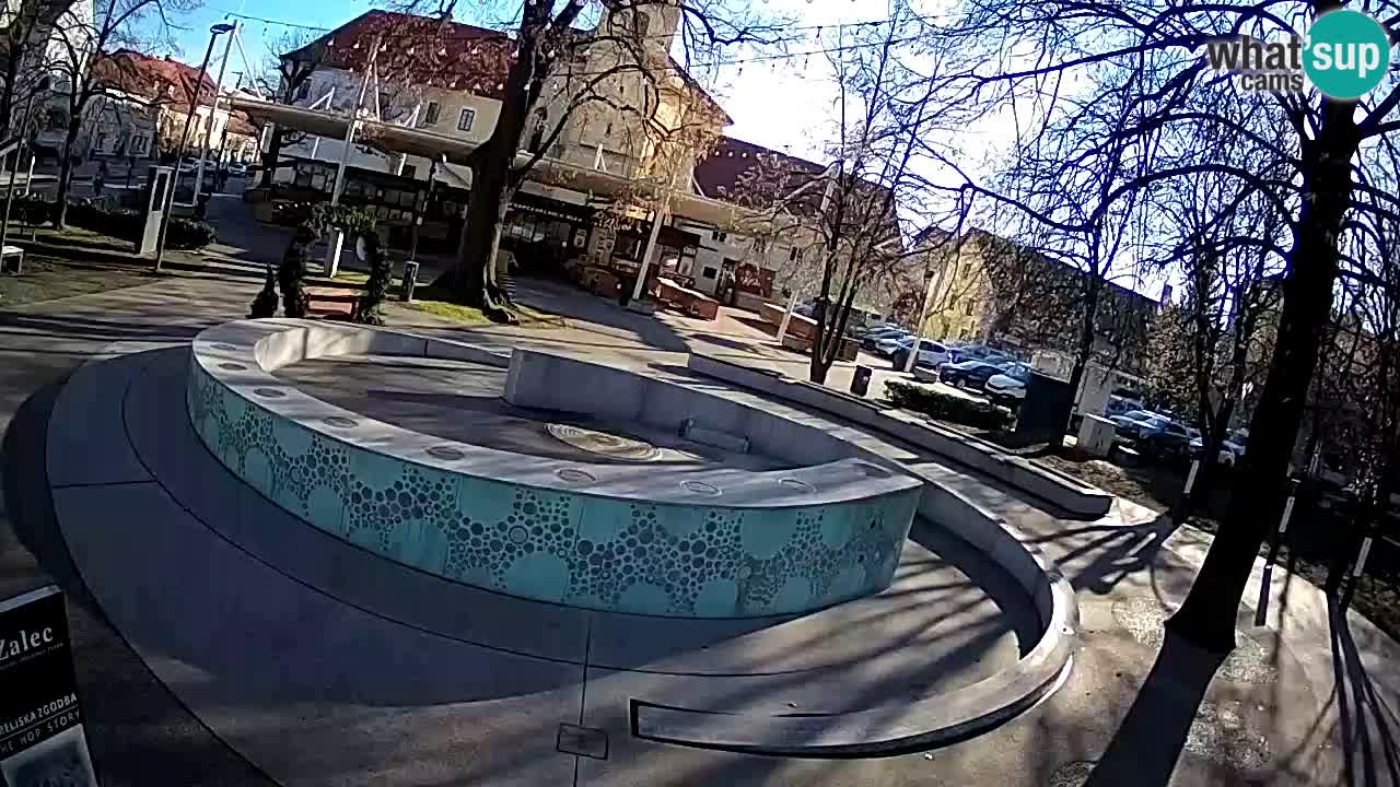 Camera en vivo Fuente de cerveza – Oro verde – Žalec