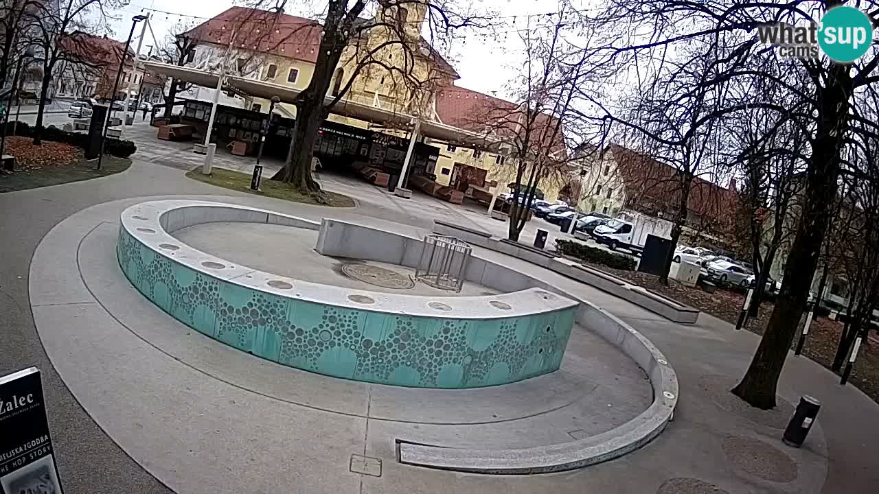 Fontana di birra Webcam – Oro verde – Žalec