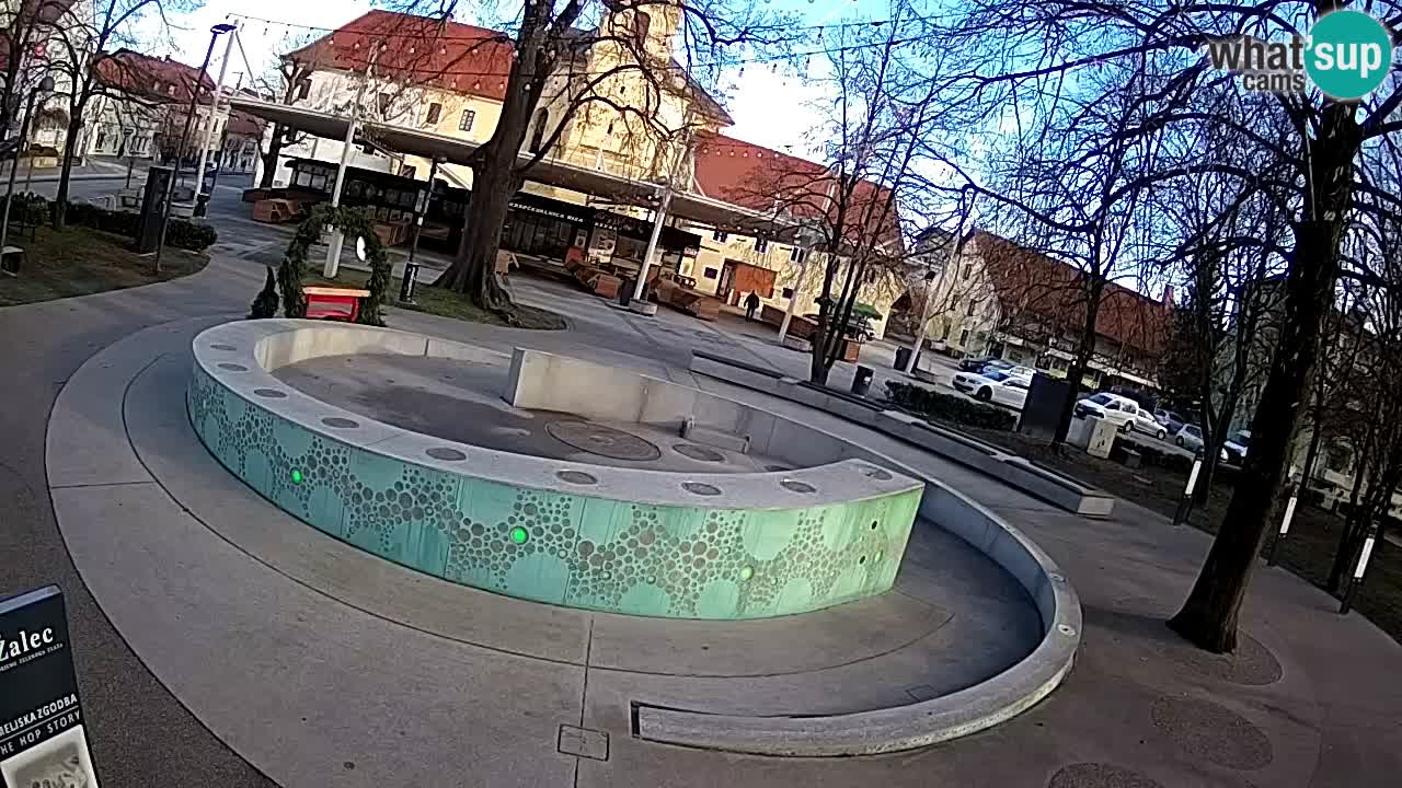 Fontaine à bière LIVE webcam – Or vert – Žalec