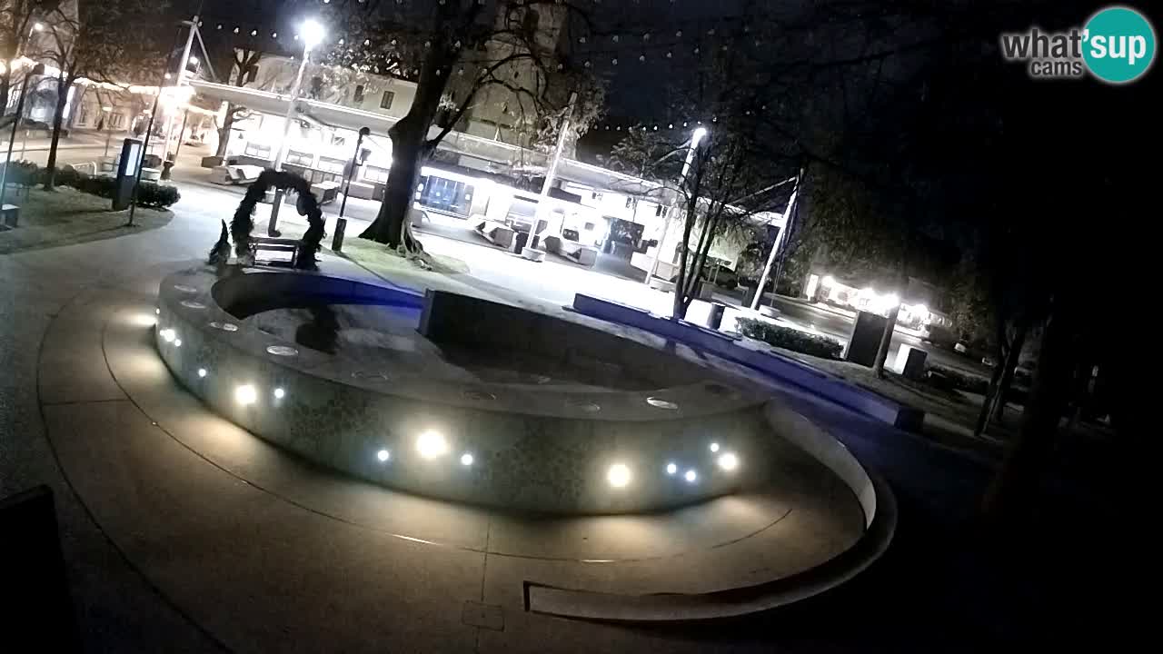 Web kamera Fontana piva – Zeleno zlato – Žalec