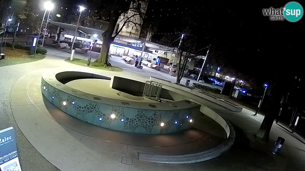 Fontaine à bière LIVE webcam – Or vert – Žalec