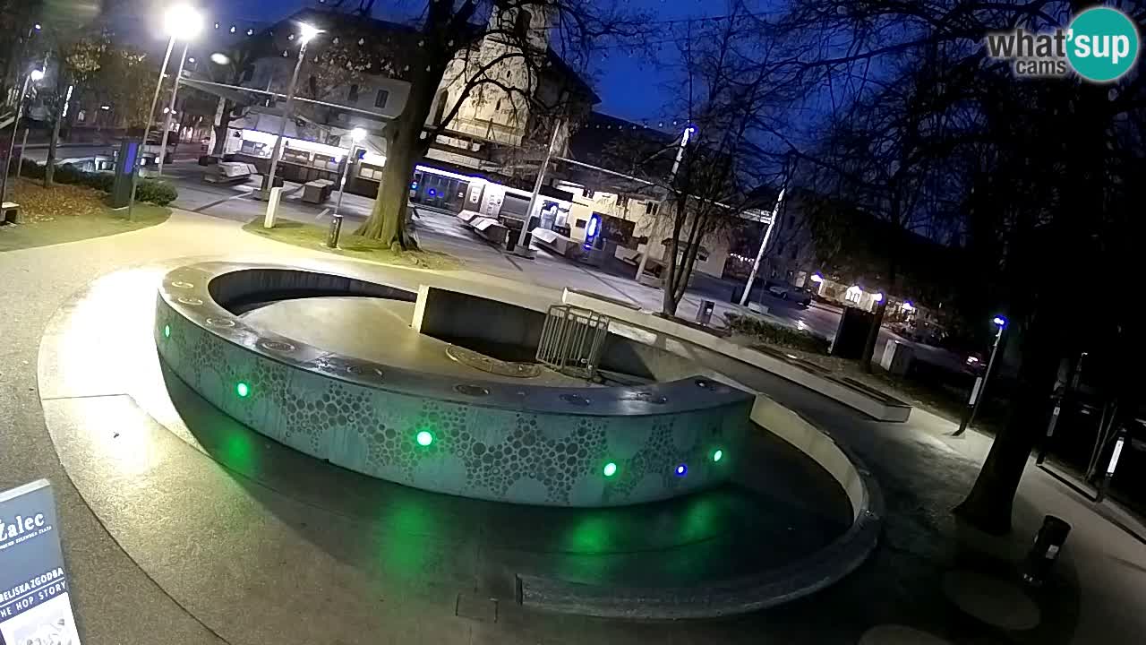 Fontana di birra Webcam – Oro verde – Žalec