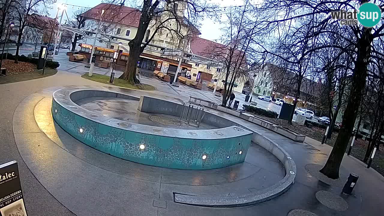 Web kamera Fontana piva – Zeleno zlato – Žalec