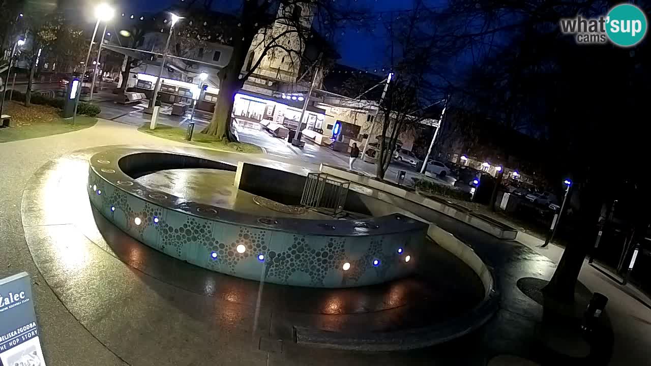 Fontana di birra Webcam – Oro verde – Žalec