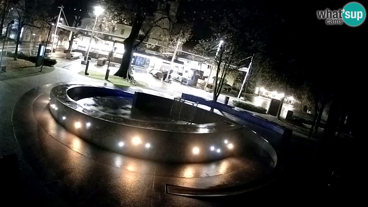 Fontaine à bière LIVE webcam – Or vert – Žalec