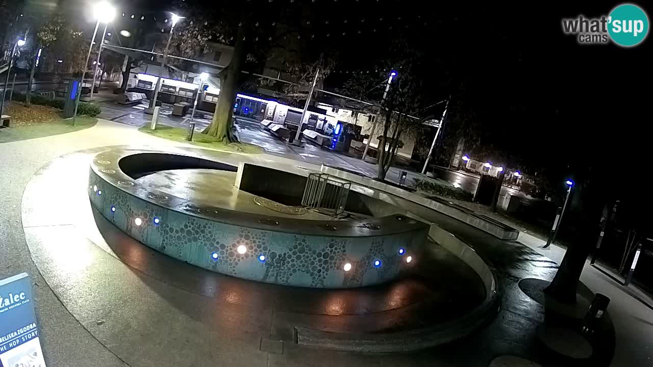 Camera en vivo Fuente de cerveza – Oro verde – Žalec