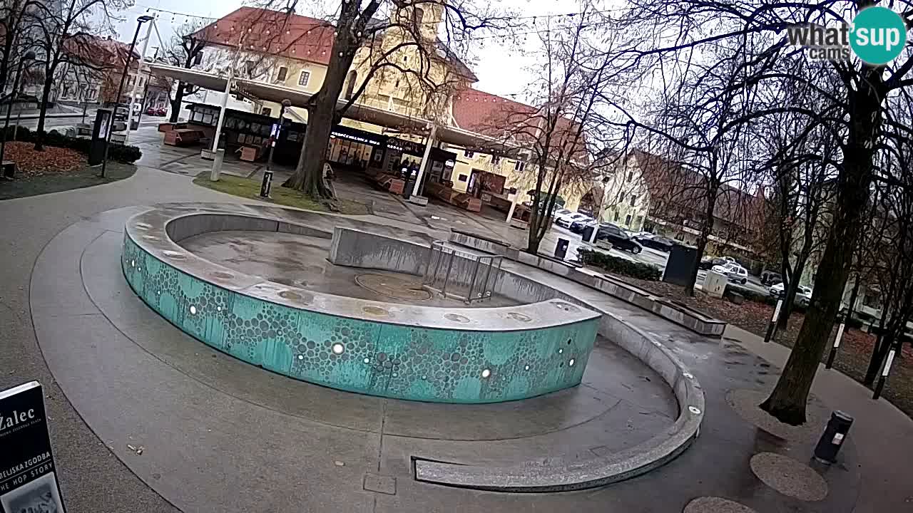 Web kamera Fontana piva – Zeleno zlato – Žalec