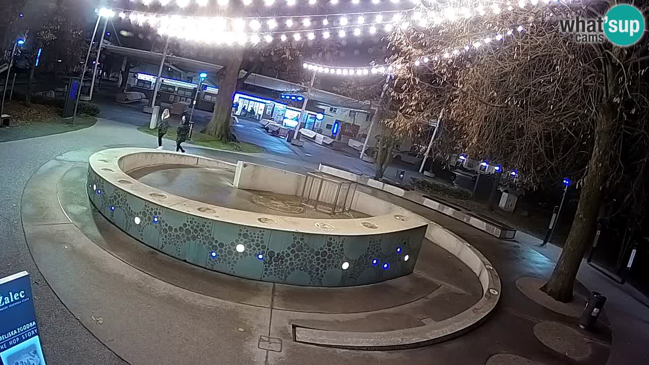 Web kamera Fontana piva – Zeleno zlato – Žalec