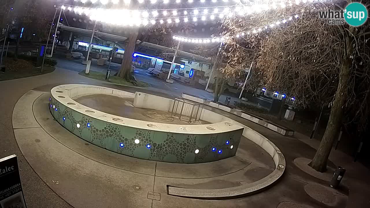 Web kamera Fontana piva – Zeleno zlato – Žalec