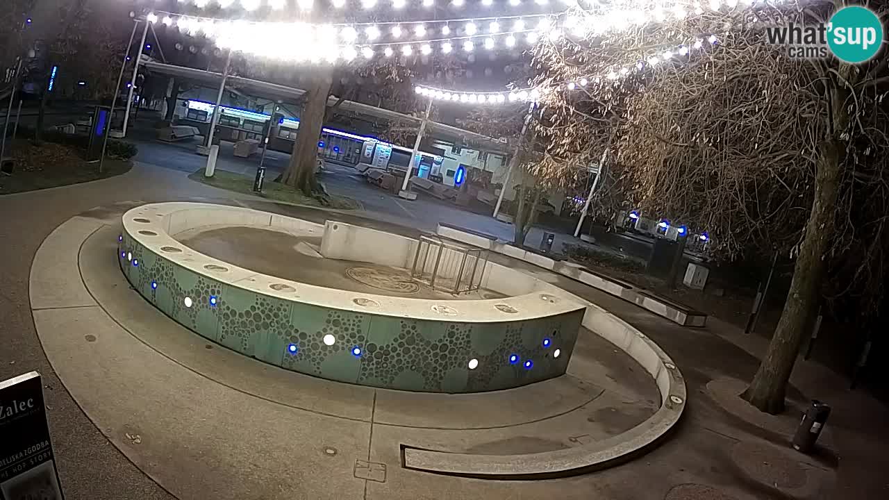 Camera en vivo Fuente de cerveza – Oro verde – Žalec