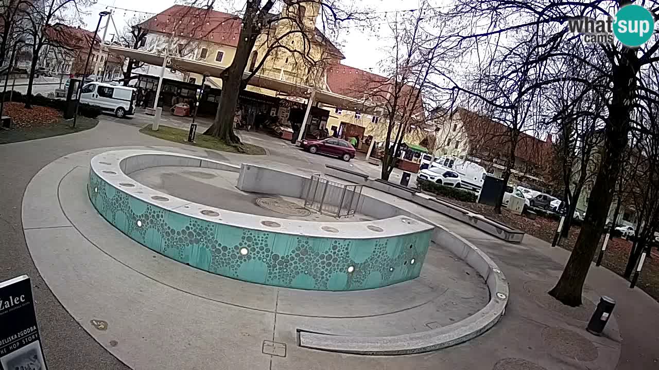 Fontana di birra Webcam – Oro verde – Žalec