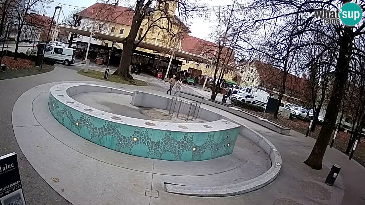 Web kamera Fontana piva – Zeleno zlato – Žalec