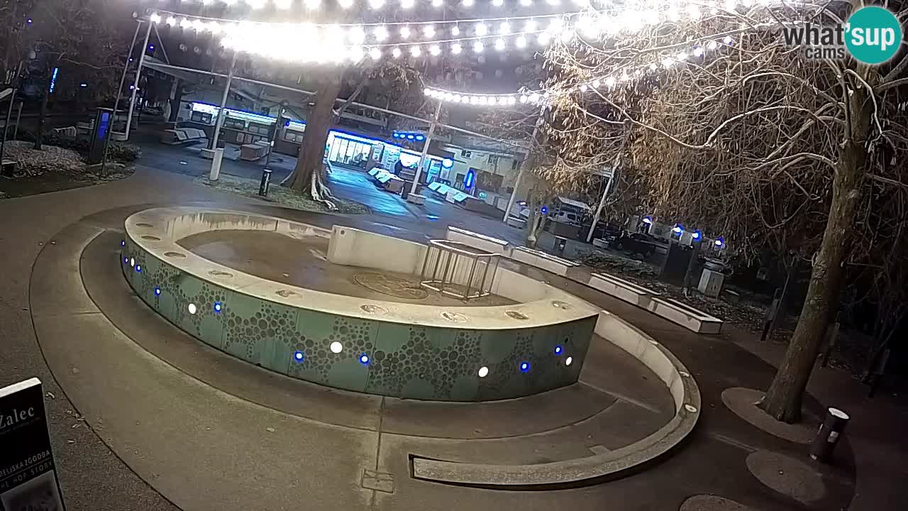 Web kamera Fontana piva – Zeleno zlato – Žalec