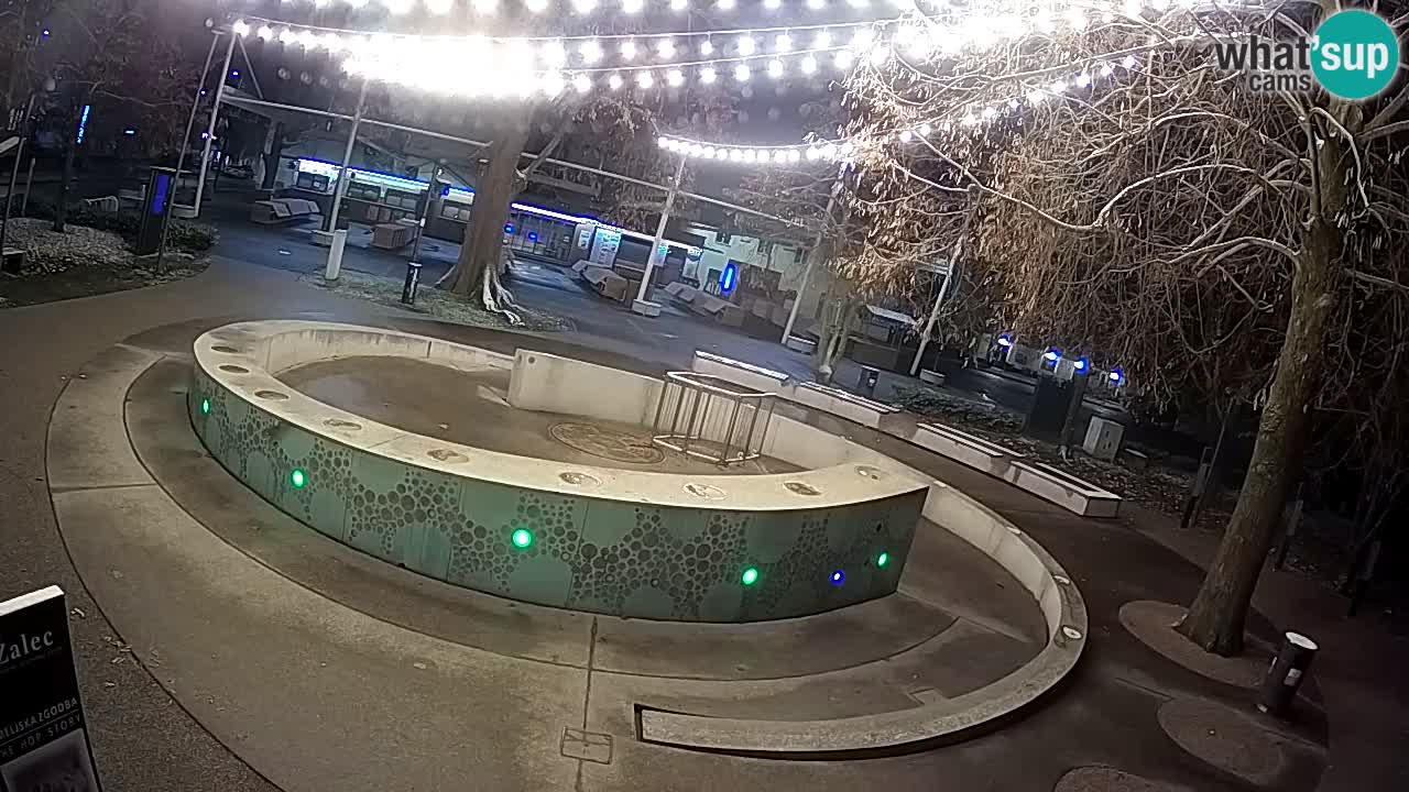 Spletna kamera Fontana Piv – Zeleno zlato Žalec