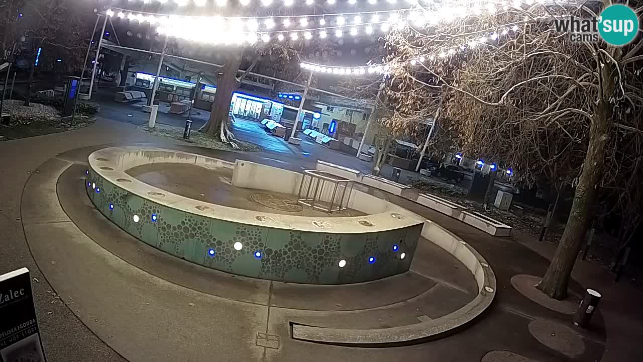Fontaine à bière LIVE webcam – Or vert – Žalec
