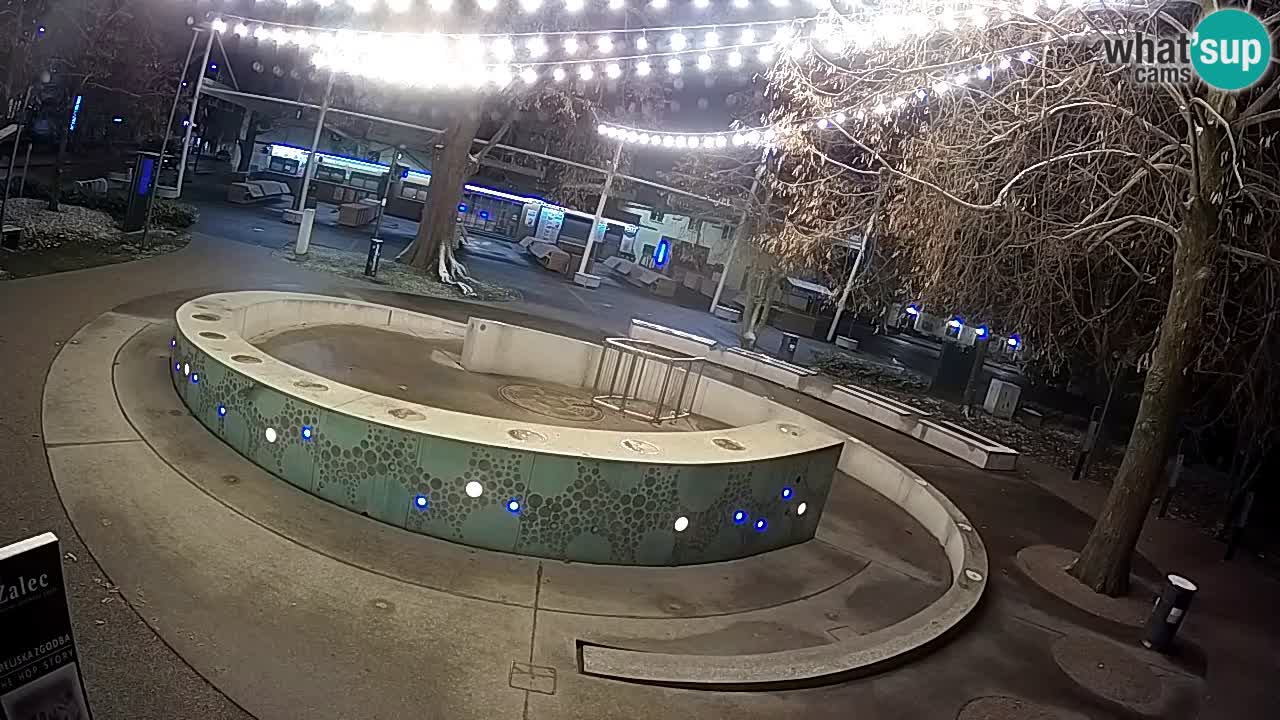 Spletna kamera Fontana Piv – Zeleno zlato Žalec