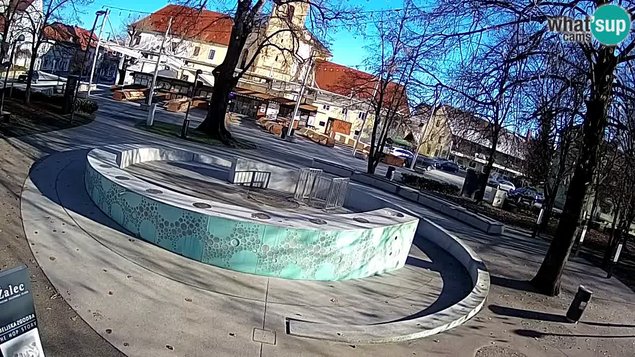 Web kamera Fontana piva – Zeleno zlato – Žalec