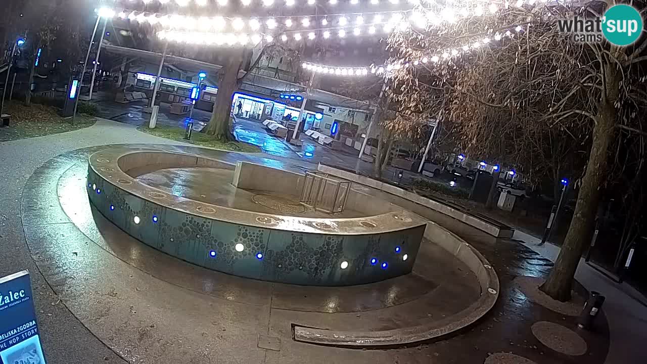 Web kamera Fontana piva – Zeleno zlato – Žalec