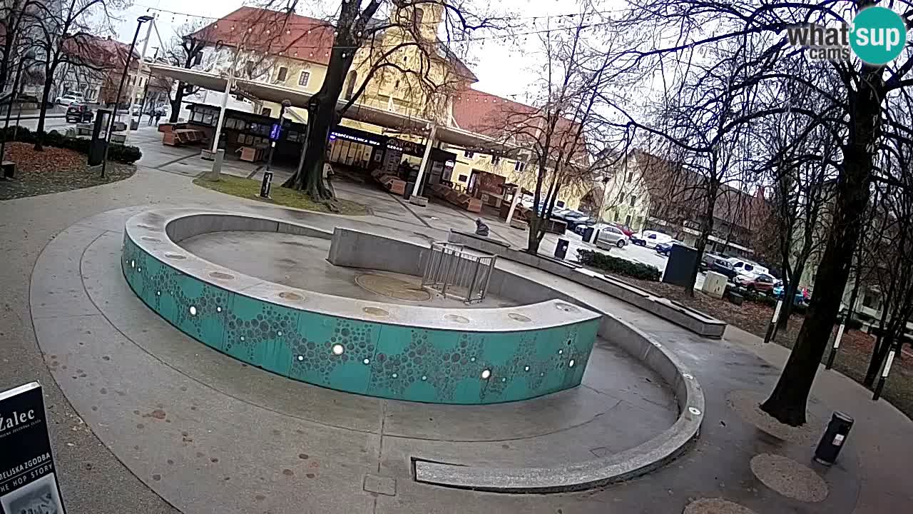 Fontaine à bière LIVE webcam – Or vert – Žalec