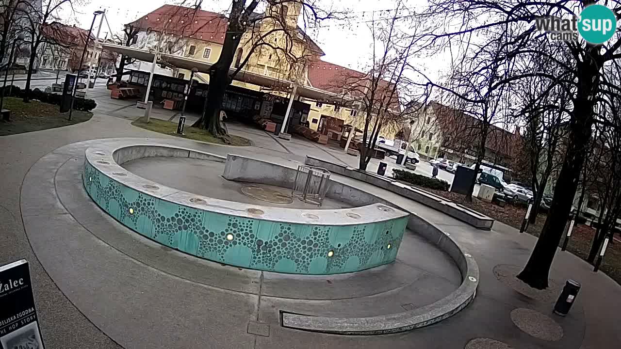 Bier-Springbrunnen Webcam Žalec – Grünen Goldes